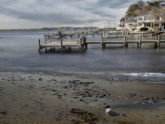 Low tide