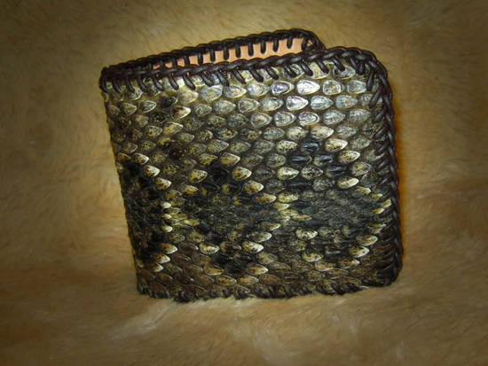 lizard wallet