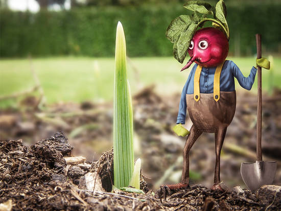 Happy Radish Farmer