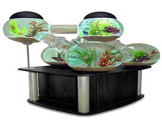 fish tank