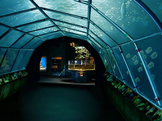 Aquarium