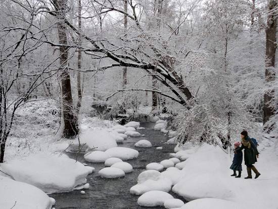 Winter walk  