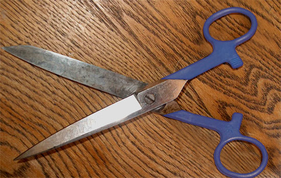 grown up scissors