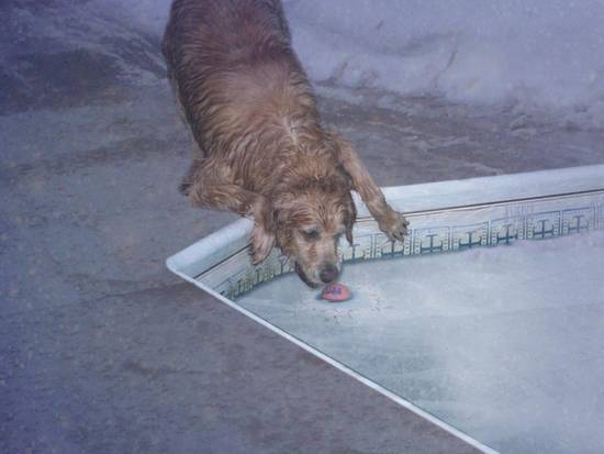 Frozen Pool Retrieval