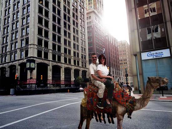 City camel