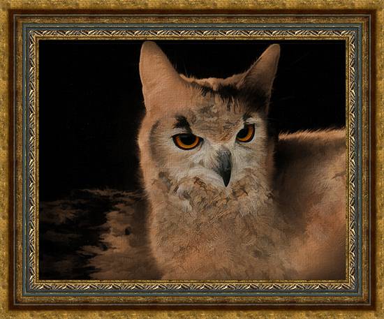 Catowl paint