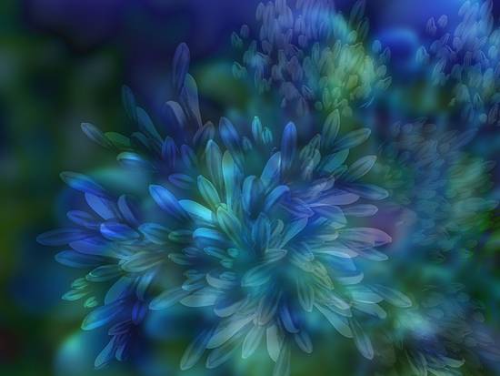 Blue Dahlias