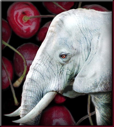 Eggephant On Cherry's