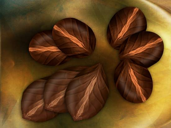 chocolate leaves