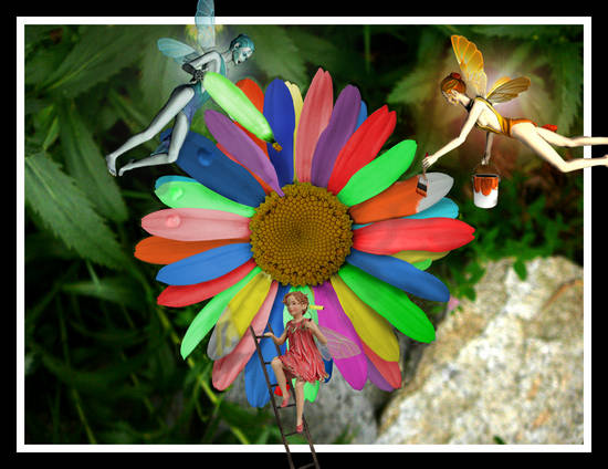 FAIRY SUMMER COLOR