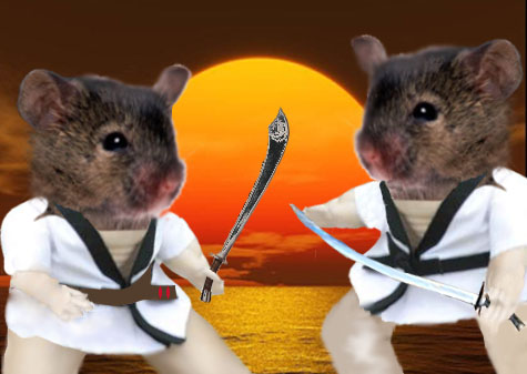 Ninja Rats