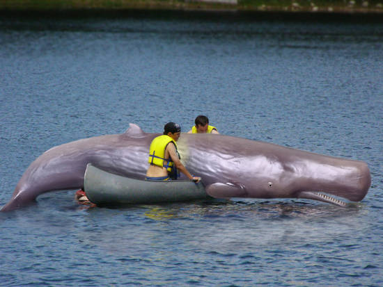  ~ Whale on board ~