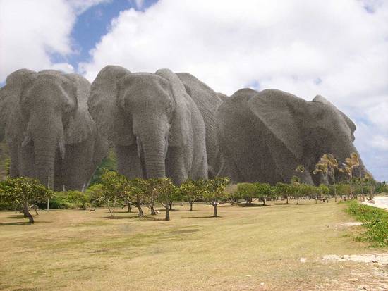 The Elephant Mountains