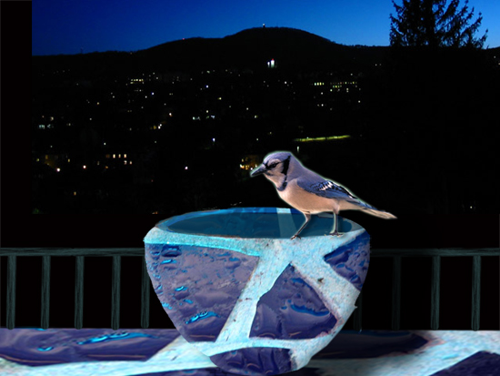 Dawn blue jay