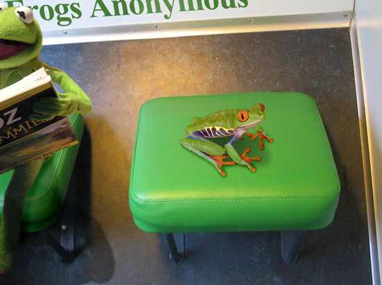 Frogs Anonymous