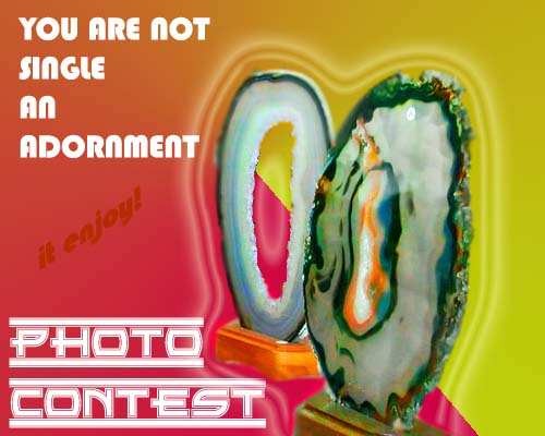 Photoshop Contest