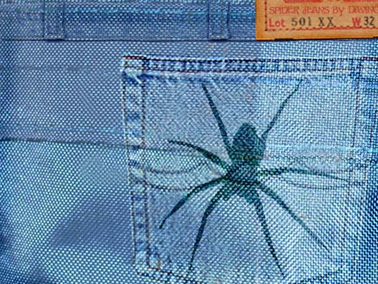 Spider Jeans