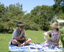 Picnic in the Park