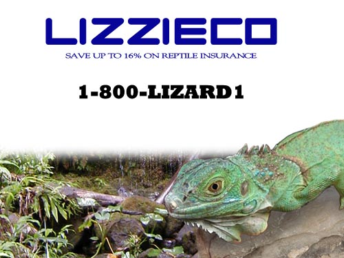 LIZZIECO Insurance