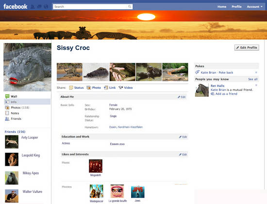 Facebook Profile