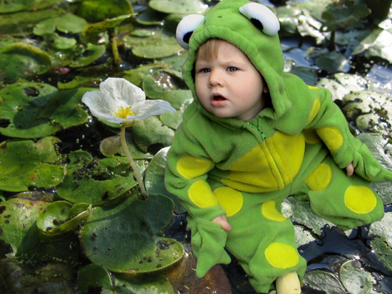 ribbit!