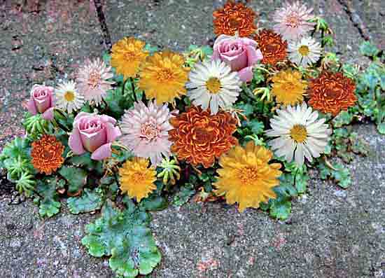 Floral Arrangement