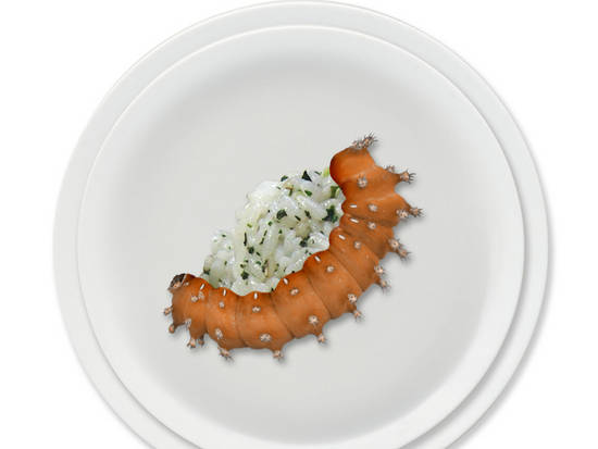 Caterpillar sushi