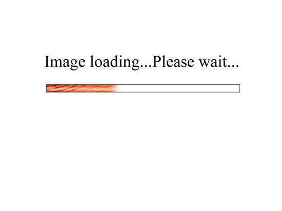 Image Loading