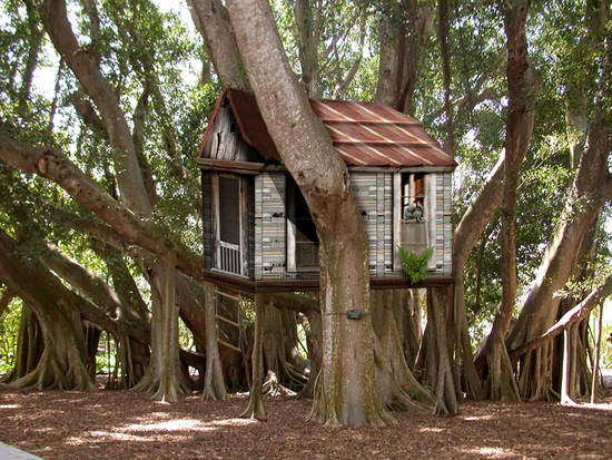 Old Treehouse