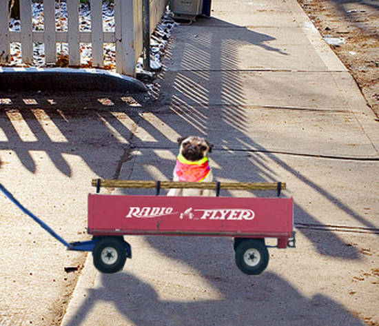 Radio Flyer