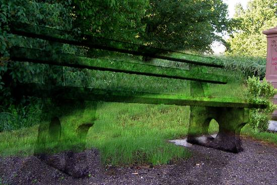 Chameleon Bench