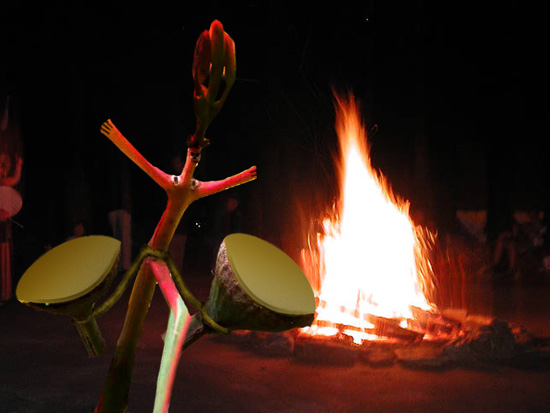 Gumnut Bonfire