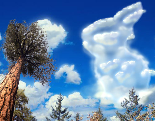 Rabbit Cloud