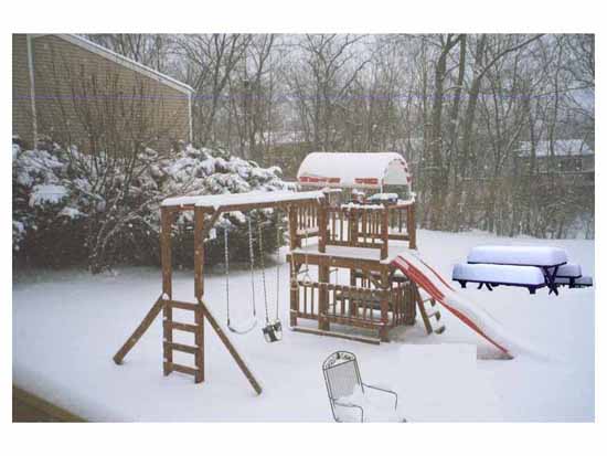 Swings and bench