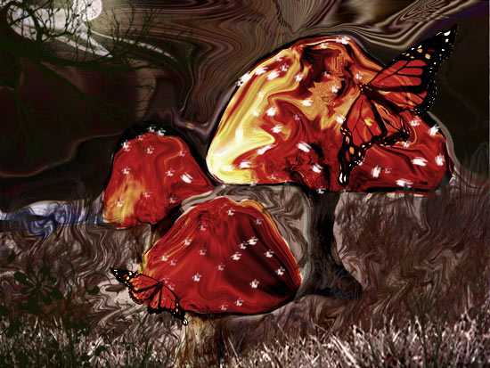 Amanita muscaria