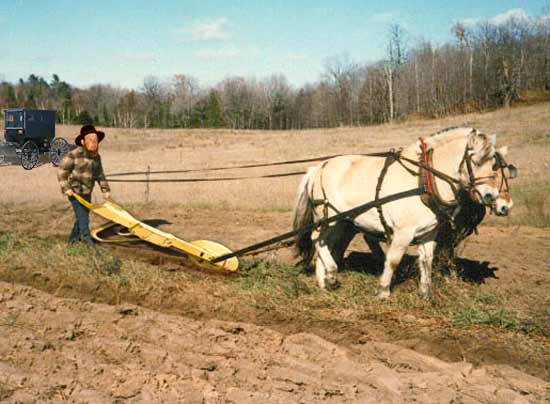 Jebediah got his newplow