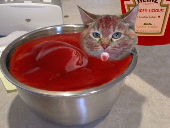 Catsup