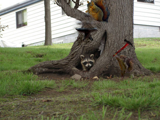 Get out of our tree!