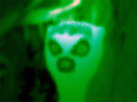 ET Caught on Nightvision