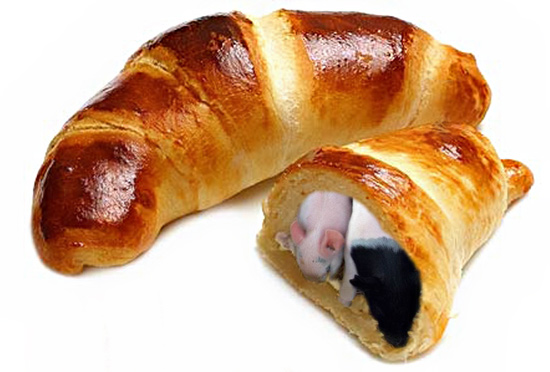 Pigs in a blanket!