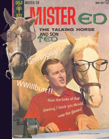 Mr.Ed and Son