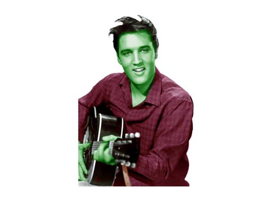 JGG Elvis