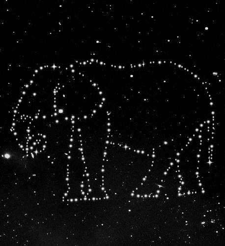 Elephantum Constellation