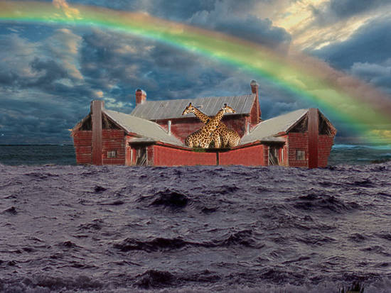 Noah's Ark