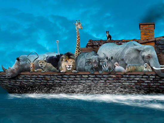 Noah´s ark