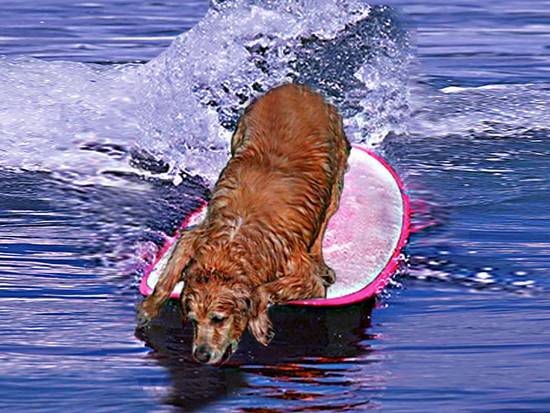 Fun in the water