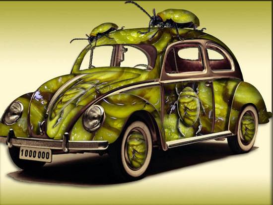 beetle