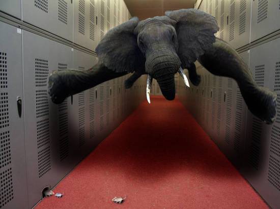 lphant dans corridor