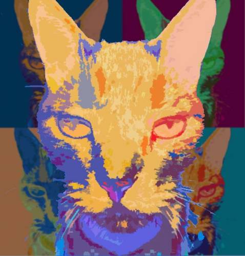 Warhol's Cat