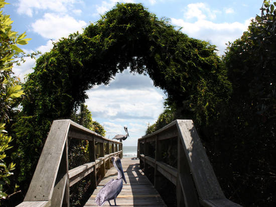 Boardwalk Arch